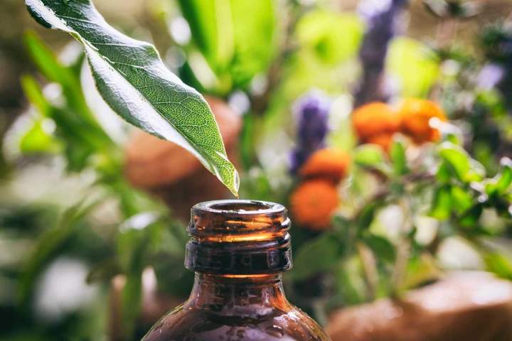 Vente huile essentielle Farébersviller